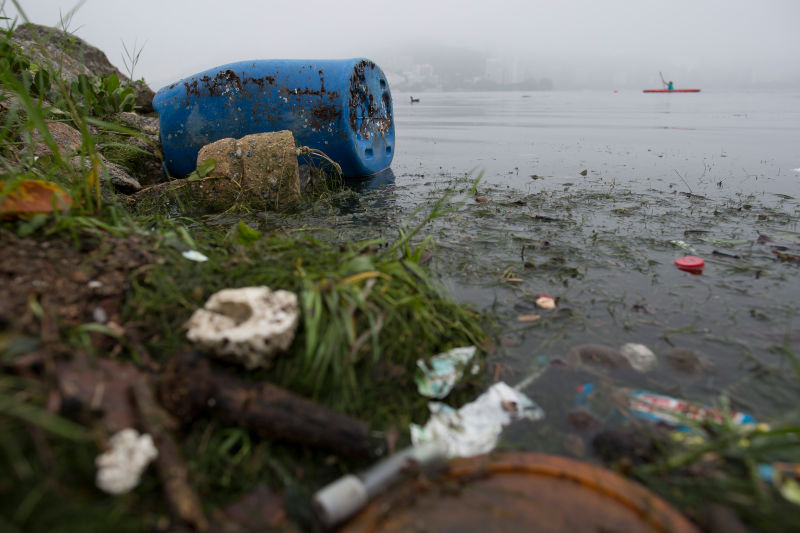 Illustration for article titled La contaminación viral en la bahía de Río de Janeiro es 1,7 millones superior a lo permitido